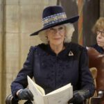 Reine Camilla 42info Saint-Etienne