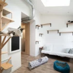 Hotel a Chat 42info Saint-Etienne